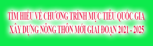 Tìm hiểu nông thôn mới