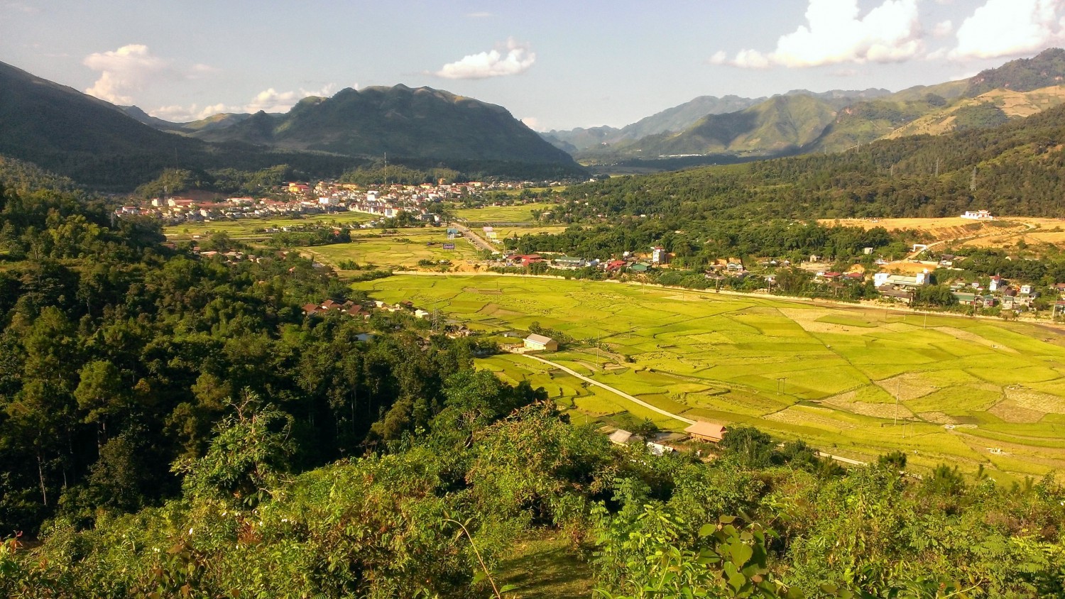 Ảnh minh họa: NVB