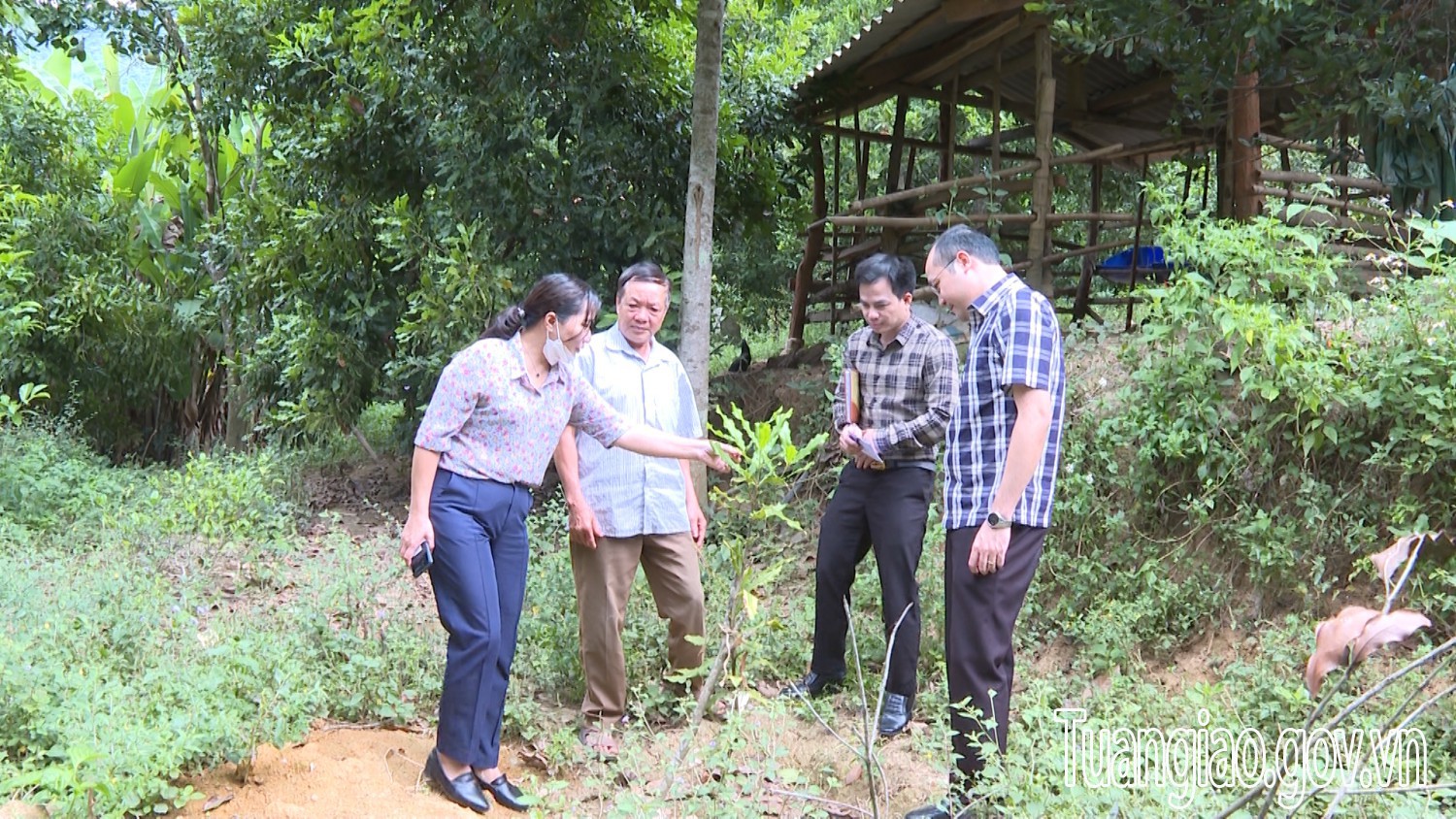 Đồng chí Lê Xuân Cảnh – Chủ tịch UBND huyện kiểm tra tiến độ triển khai thực hiện dự án mắc ca trên địa bàn huyện
