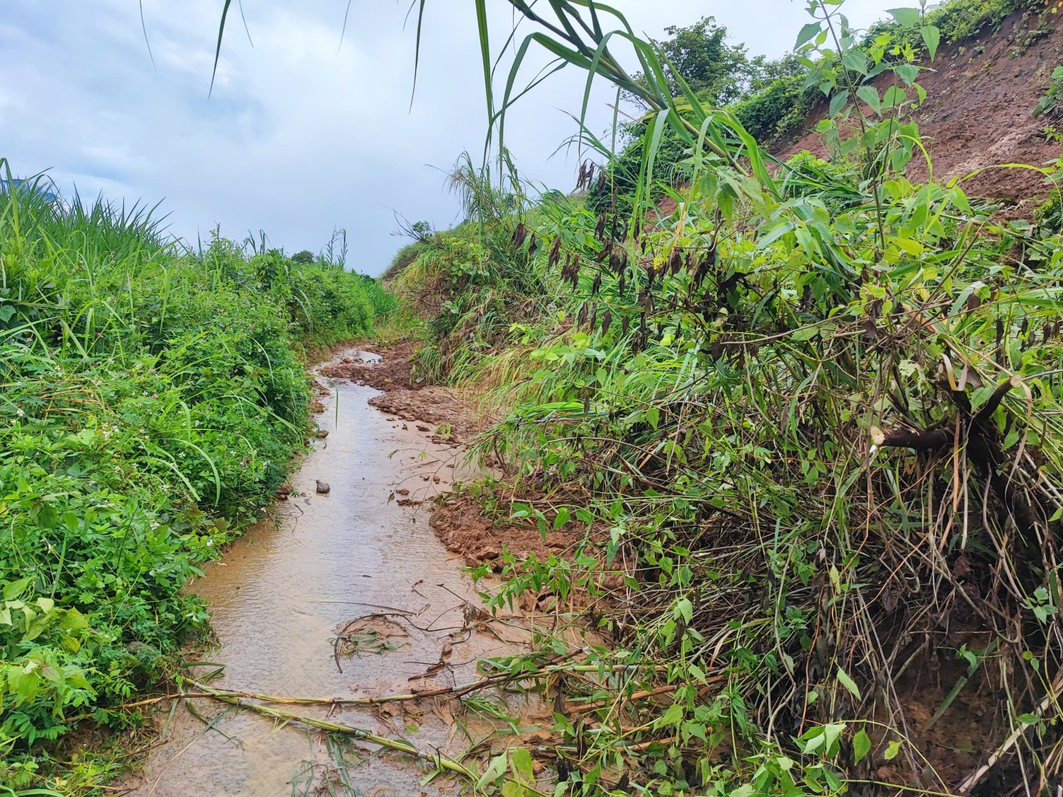 UBND XÃ PÚ NHUNG LÀM VIỆC VỚI ĐOÀN CÔNG TÁC CỦA TỈNH VỀ KHẮC PHỤC HẬU QUẢ THIÊN TAI