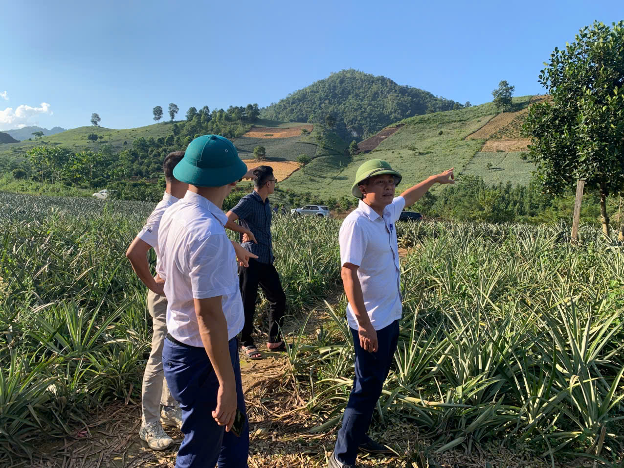 Công ty Cổ phần Thực phẩm Xuất khẩu Đồng Giao làm...