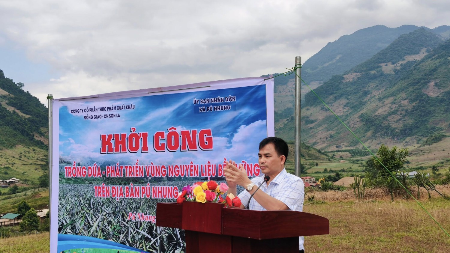 Công ty DOVECO triển khai mô hình trồng dứa liên...