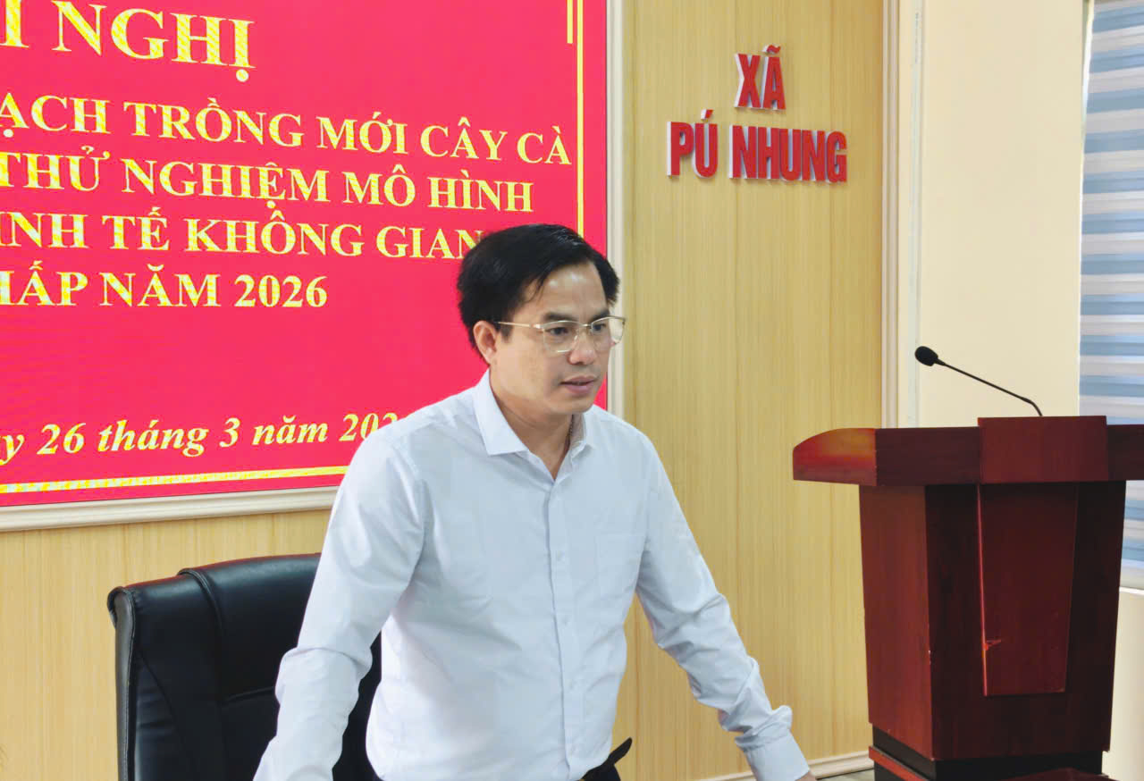 Hội nghị triển khai Kế hoạch trồng mới cây cà phê,...